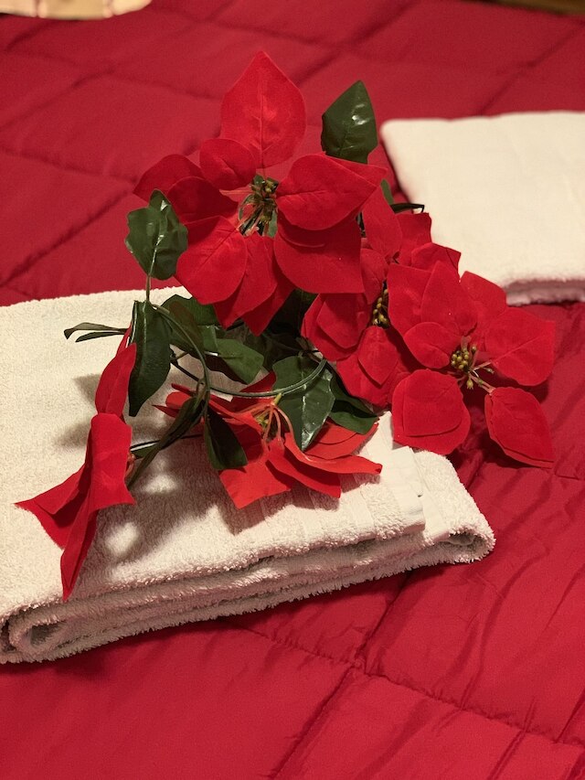 アドミラル ホーム