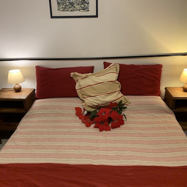 アドミラル ホーム