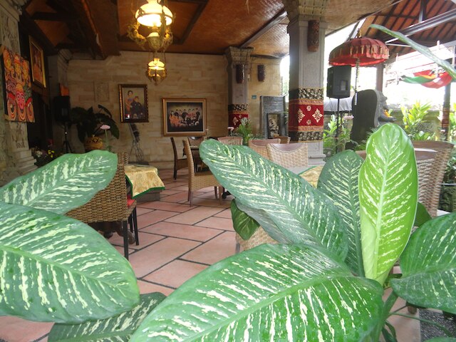 モンキー フォレスト バンガロー