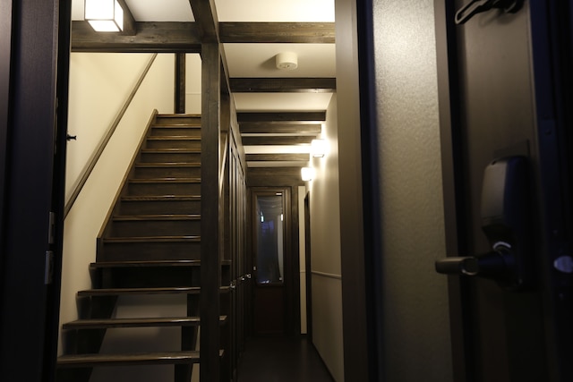 JINYA 富士河口湖