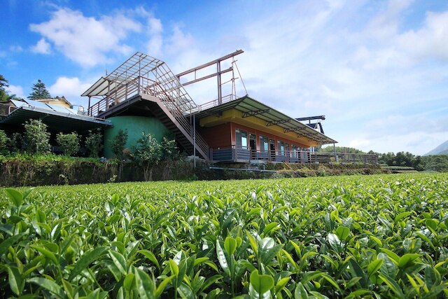 ス ジア チャユアン B&B