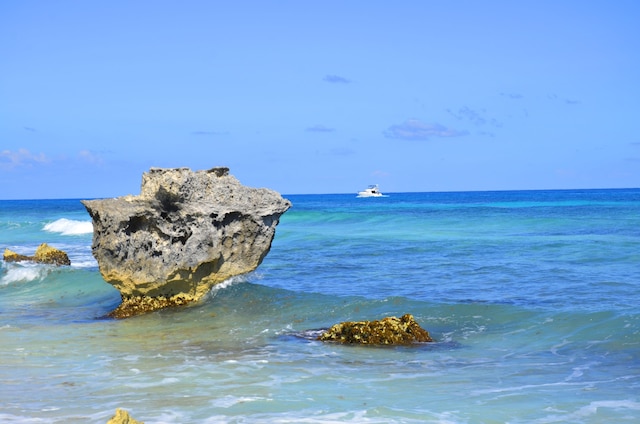 アミーゴ レンタル イスラ ムヘレス