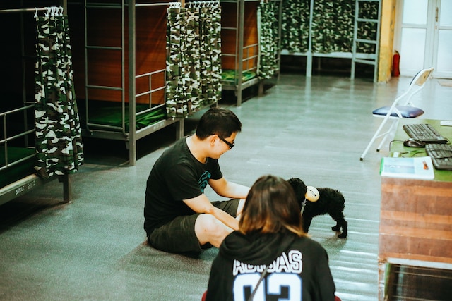 トラベルボックスドゥーミスイートドーム - ホステル