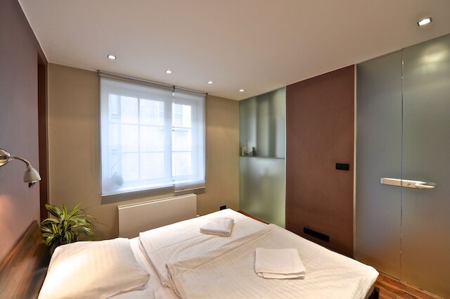 ラグジュアリー アパートメント イン サントル