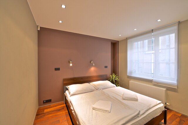 ラグジュアリー アパートメント イン サントル