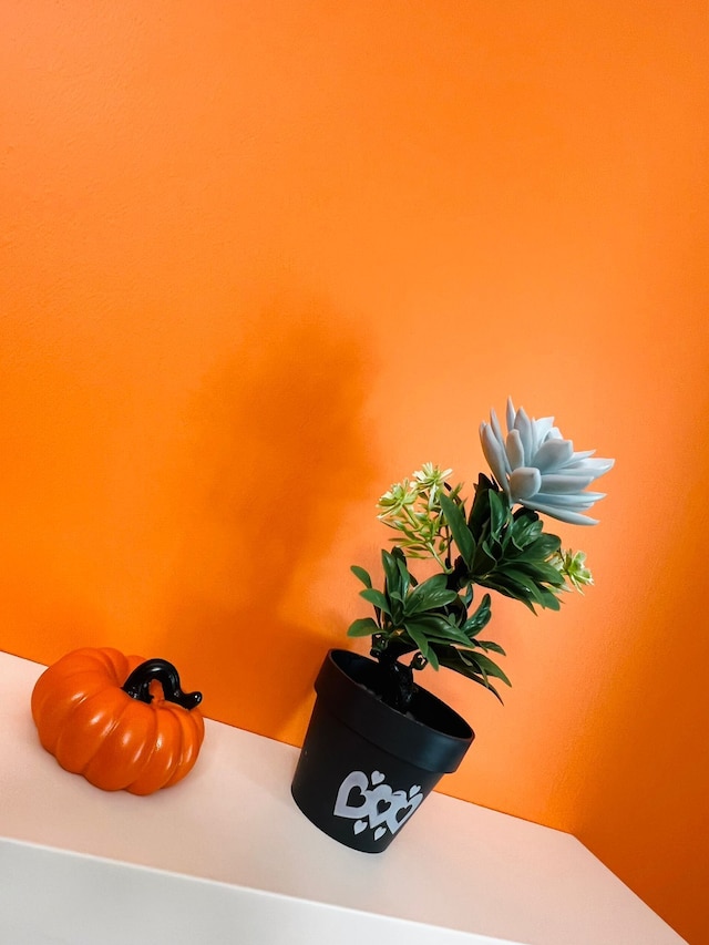 アペックス ホテル