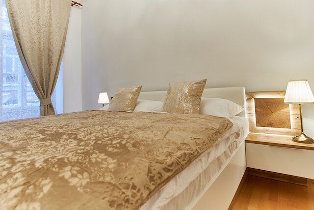 ウェンセスラス スクエア ロイヤル アパートメント