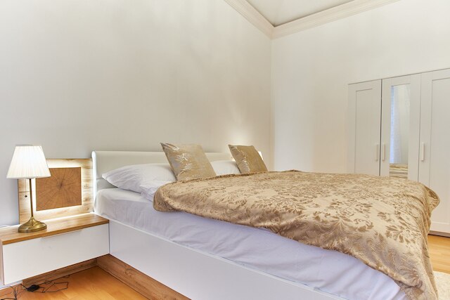 ウェンセスラス スクエア ロイヤル アパートメント