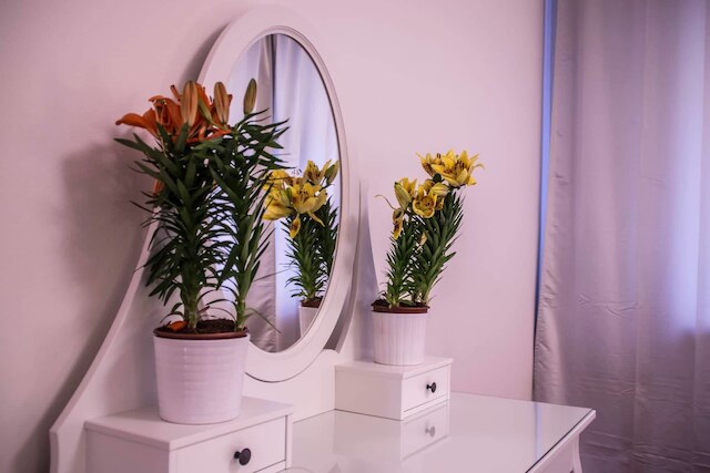 エクスクルーシブ リバーサイド アパートメント イン ハート オブ プラハ