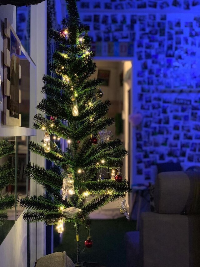 コリビング ホステル