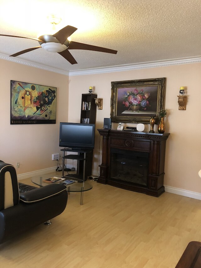 コージー ベッドルームズ ゲスト ハウス