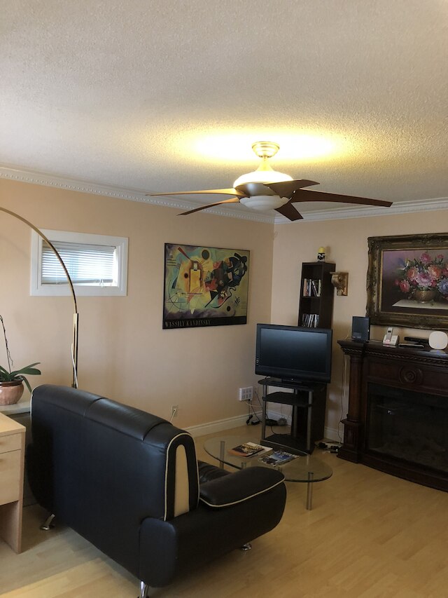 コージー ベッドルームズ ゲスト ハウス