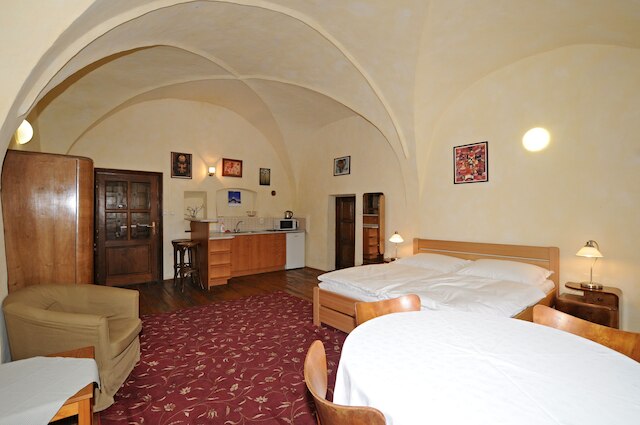 ダウンタウン アパートメンツ チェスキー クルムロフ