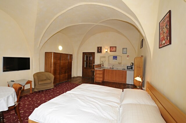 ダウンタウン アパートメンツ チェスキー クルムロフ