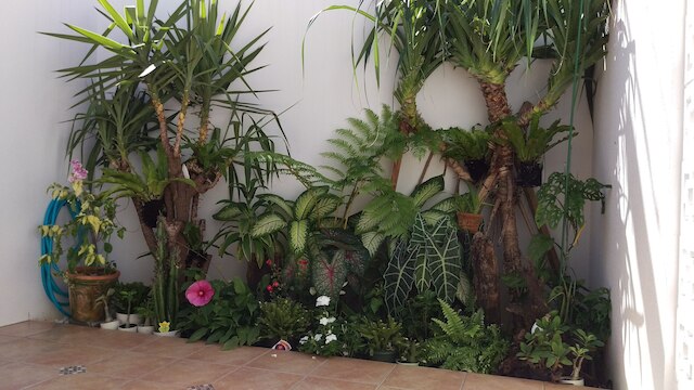 グリーンハウス