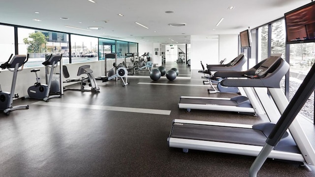 ホリデー ホリデー ザ オラクル