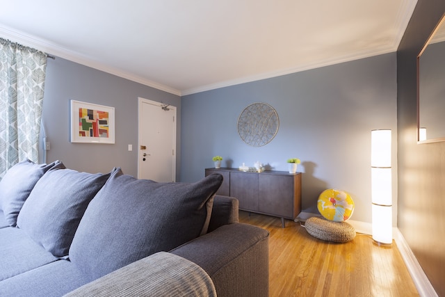 スぺーシャス アパートメント イン フォレスト ヒル (無料駐車場)