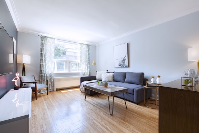 ブライト 4 ベッドルーム イン フォレスト ヒル