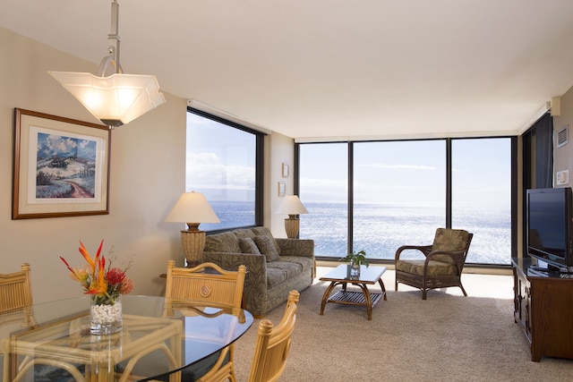 AEI アット ザ マハナ カアナパリ リゾート