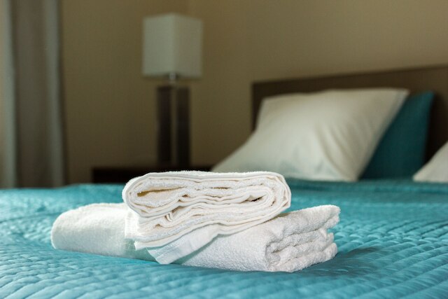 WS サウナ アパートメンツ