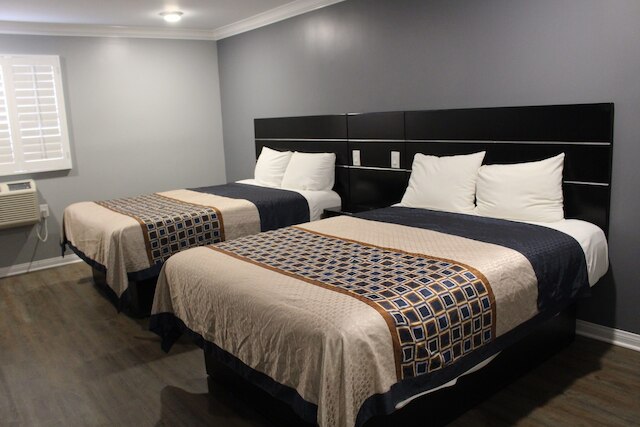 エス イン、AGA ロサンゼルス