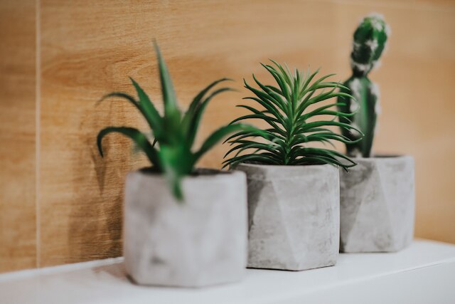 ミア アパートメンツ