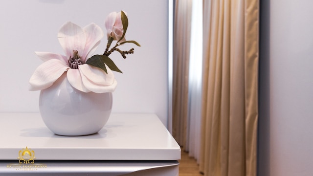 マイ シティ アパートメンツ