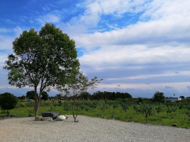 ルーラル シーナリー ヴィラ