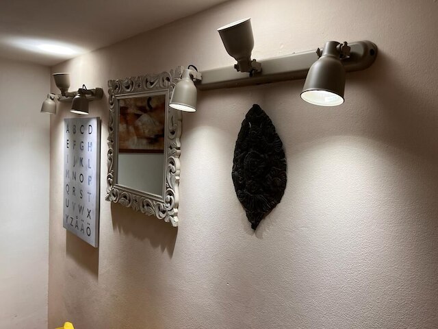 スイート カミーラ