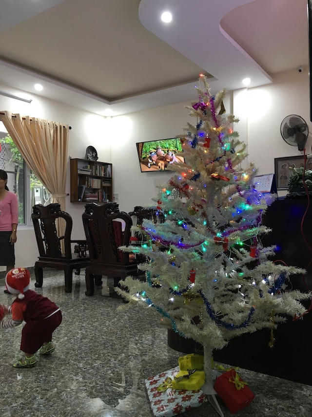 マイリー ホステル