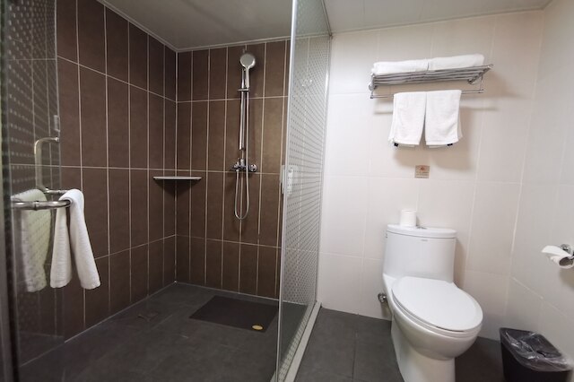 ホテル イビス天津レールウェイステーション (宜必思天津火车站酒店)