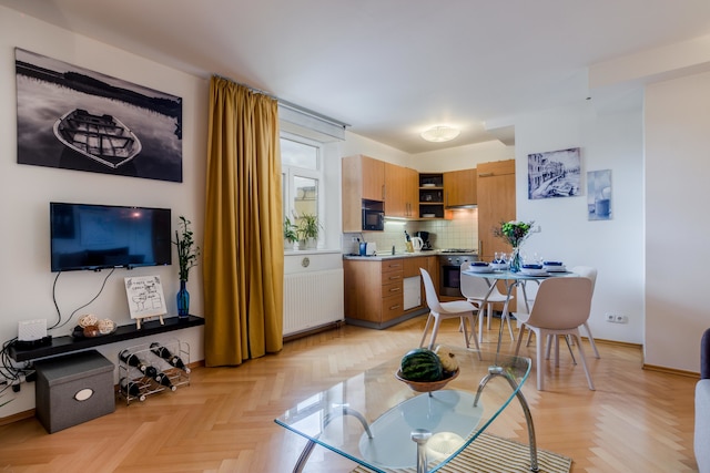 プラハ 1 サニー アパートメント バイ ミハャル & フレンズ