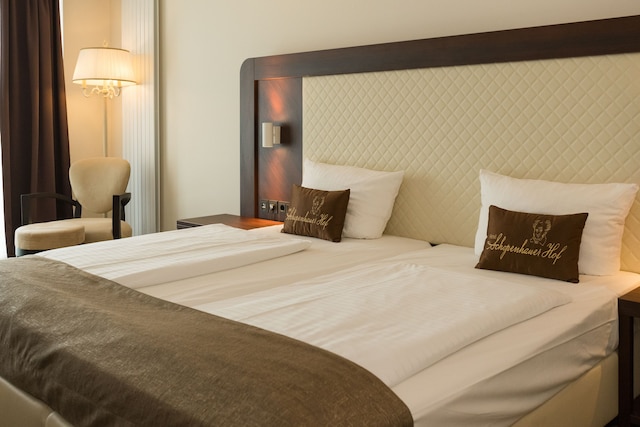 ホテル・ショーペンハウアー・ホフ