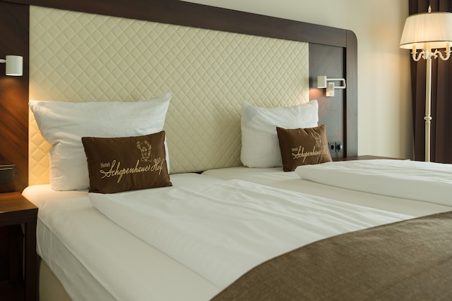 ホテル・ショーペンハウアー・ホフ