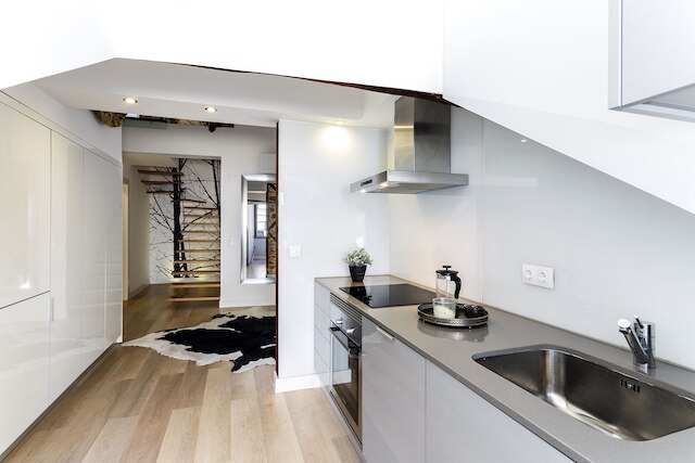 マダレナ ダウンタウン ラグジュアリー デュプレックス