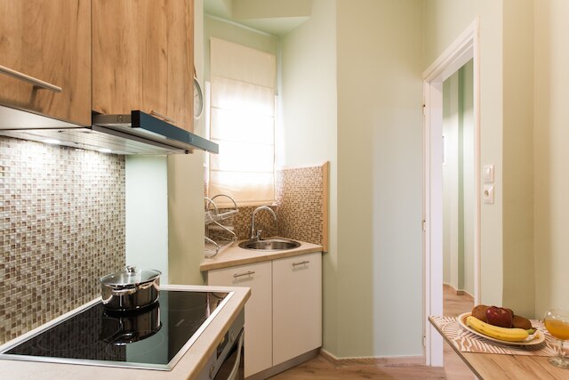 セントラル アパートメント ニア アクロポリス