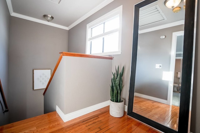 ザ クリエイティブ ハイランド ホーム