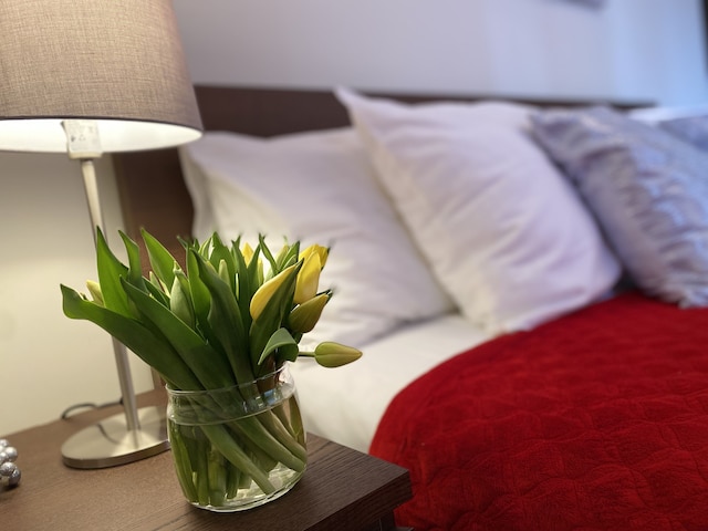 グッド タイム アパートメンツ - シフェントクシュスカ