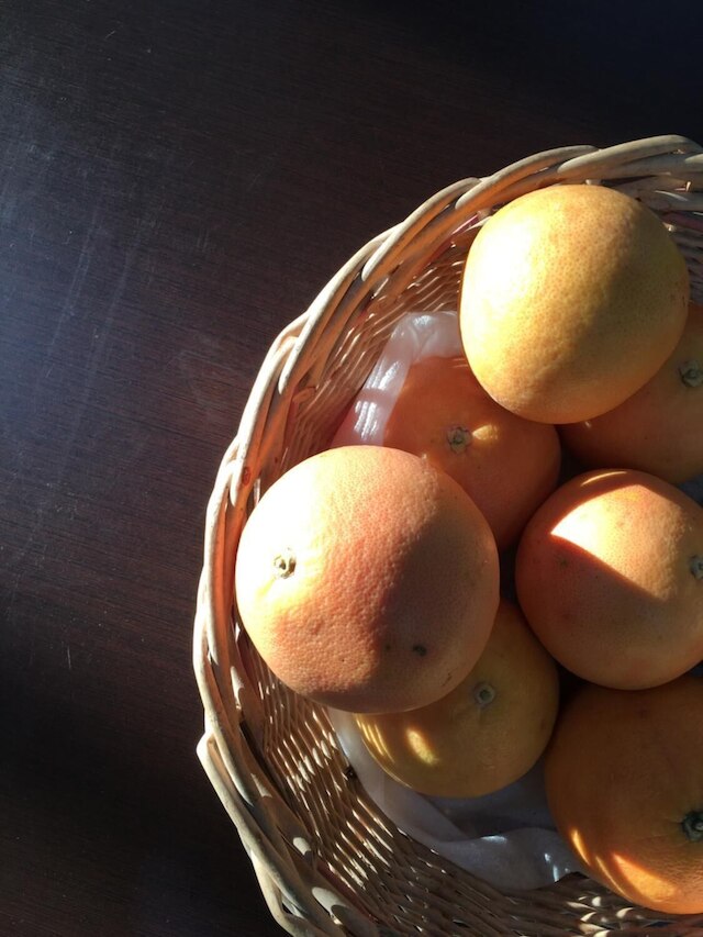 ディリー ダリー B&B