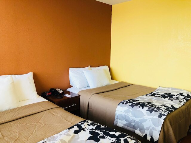 ザ ヴュー ホテル エクスプレス