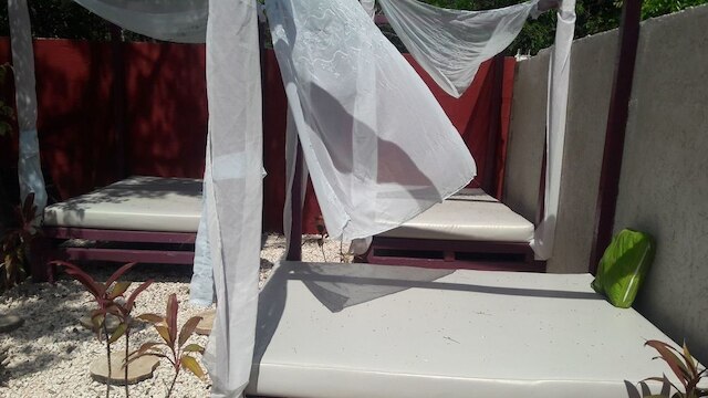 ゲストハウス ペット フレンドリー