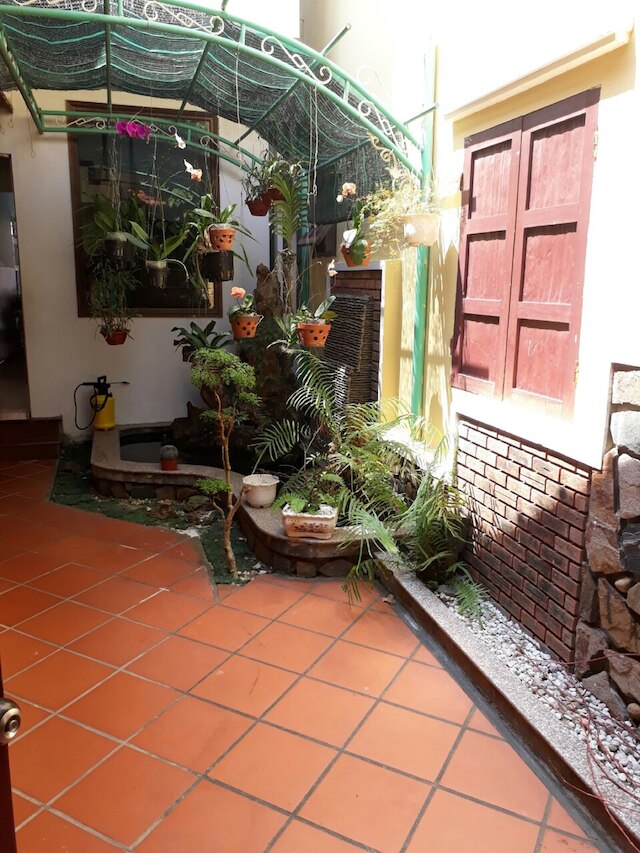 グリーン グレープフルート ヴィラ