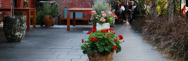 シンクレアズ シティ ホステル