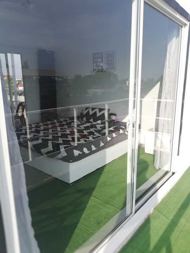 キャットズ ホステル