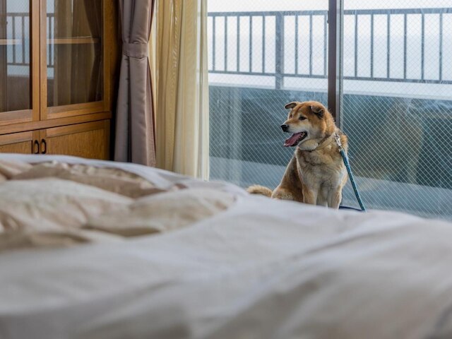 ゲストハウス 浜茶屋