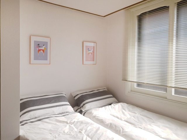 チーズ ゲストハウス - ホステル