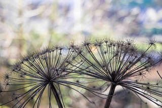 マイシティロフツ - オーストゼーデイク