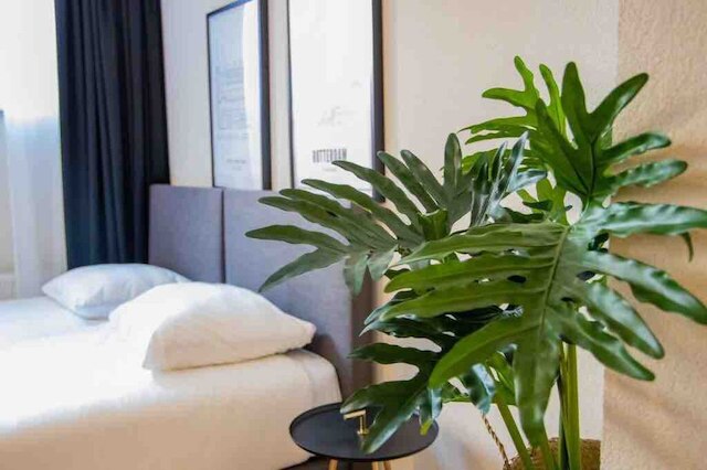 マイシティロフツ - オーストゼーデイク