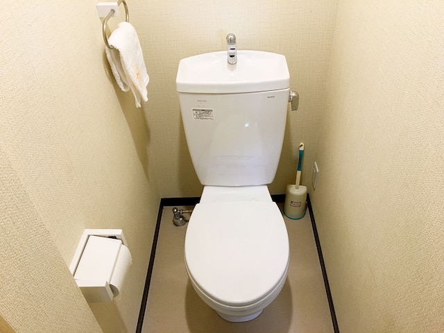 ゲストハウス SAYURI Ⅱ