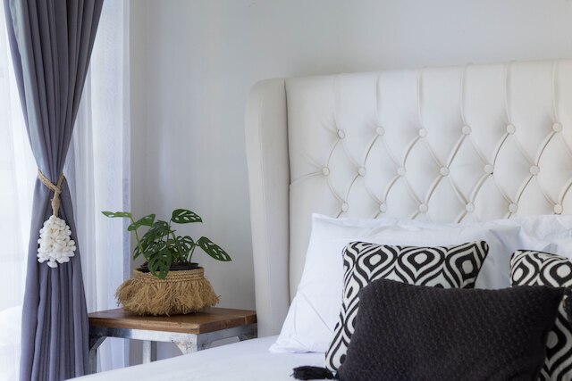 インターコネクション ホステル